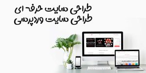 طراحی سایت حرفه ای در اصفهان